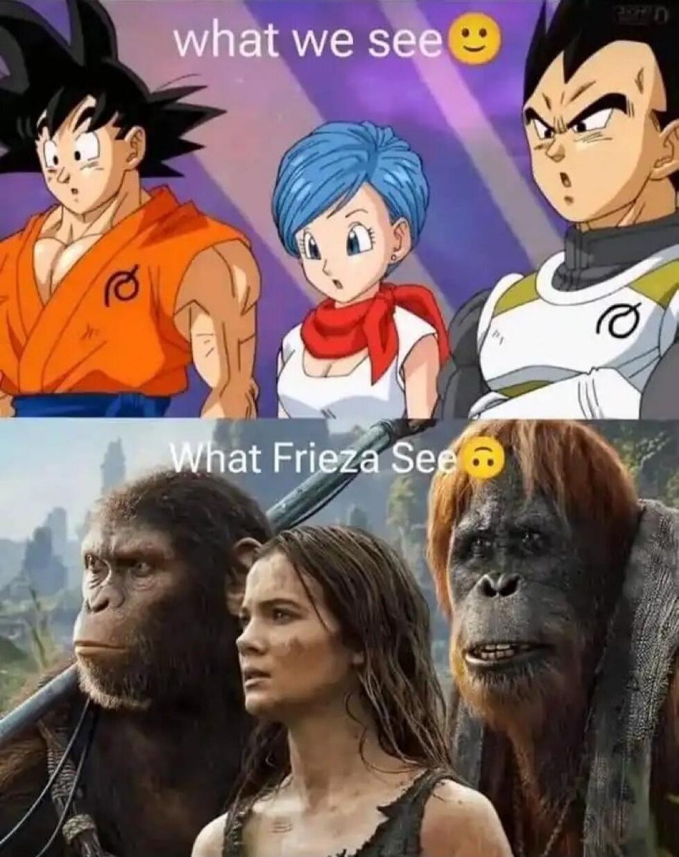 what we see😊 What Frieza See😒
