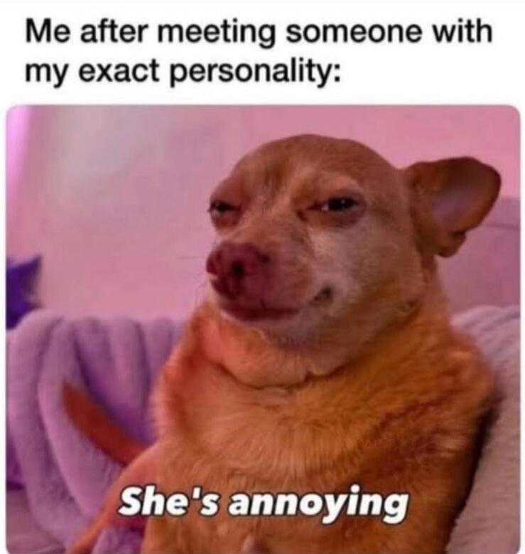 Me after meeting someone with my exact personality: She's annoying