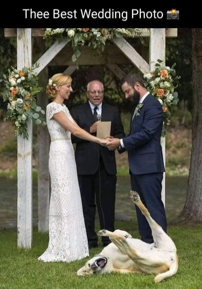 Thee Best Wedding Photo