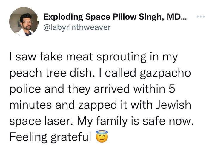 Exploding Space Pillow Singh MD labyrinthweaver saw fake meat sprouting in my peach tree dish called gazpacho police and they arrived within 5 minutes and zapped it with Jewish space laser My family is safe now Feeling grateful