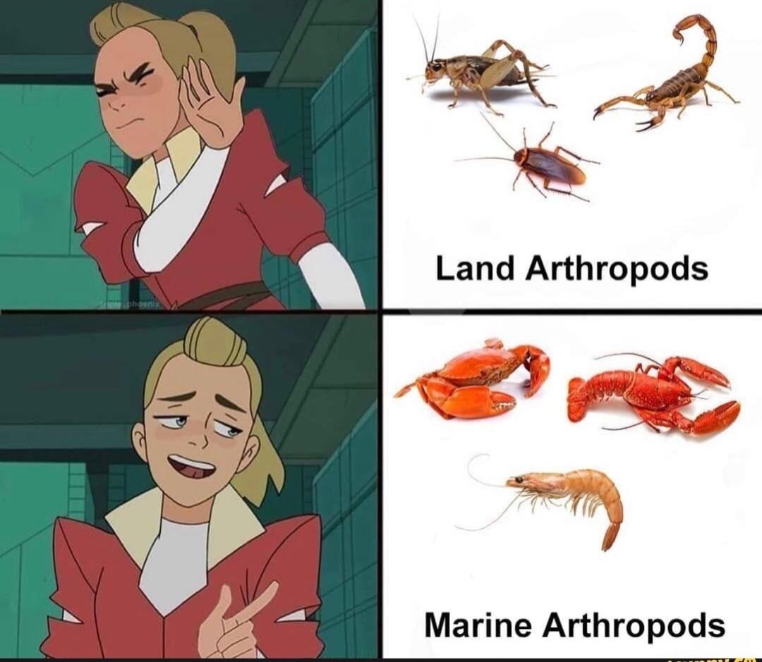Land Arthropods Marine Arthropods