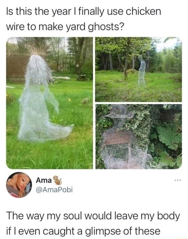 Katy Rex A Is this the year finally use chicken wire to make yard ghosts Ama y AmaPobi The way my soul would leave my body if even caught a glimpse of these