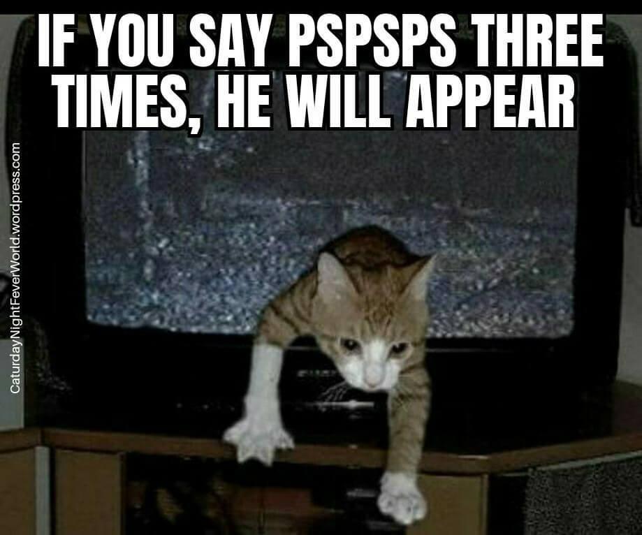 IF YOU SAY PSPSPS THREE TIMES HE WILL APPEAR