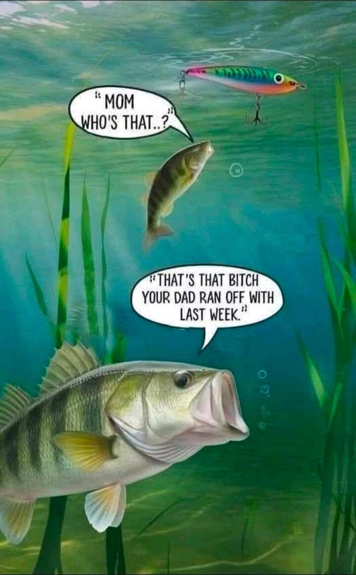 Mom who's that..? That's that bitch your dad ran off with last week.