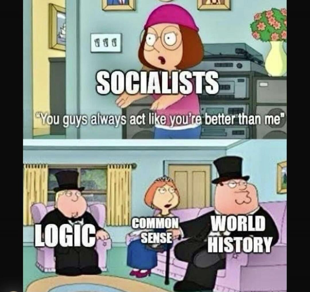SOCIALISTS You guys always act like you're better than me LOGIC COMMON SENSE WORLD HISTORY