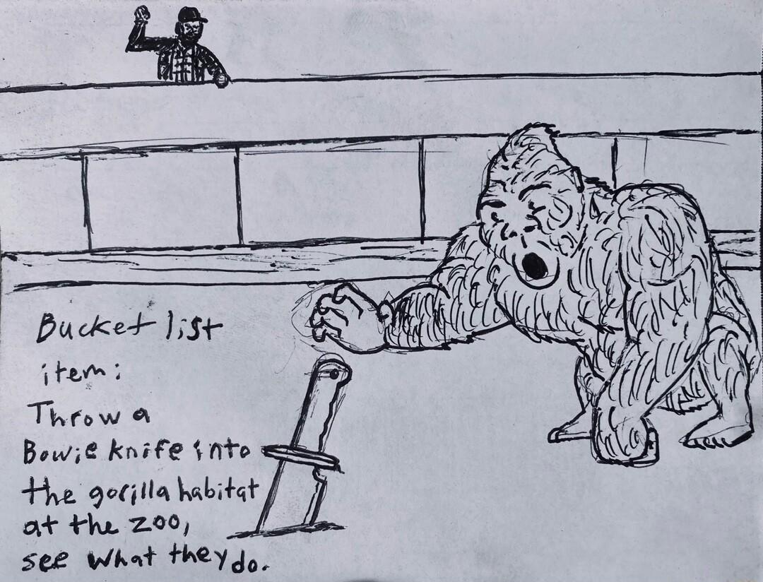 Pucket t e Thcow Bewi knife nte Hhe gecilla habitet ot he 200 see What they g