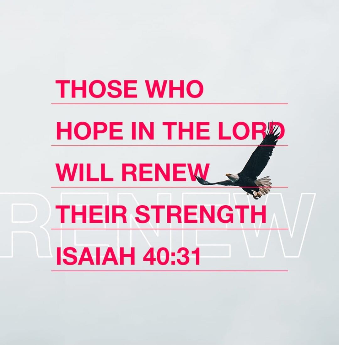 THOSE WHO HOPE IN THE LORD WILL RENEW THEIR STRENGTH ISAIAH 40:31