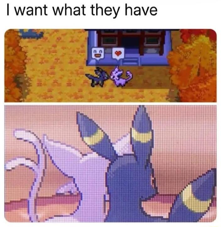 want what they have