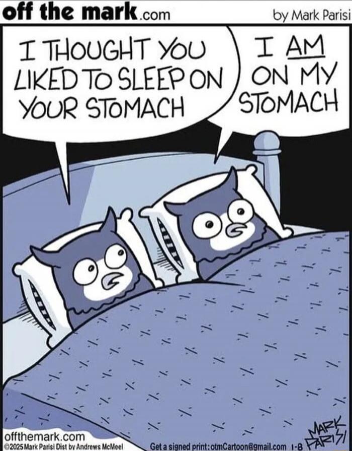 I THOUGHT YOU LIKED TO SLEEP ON YOUR STOMACH
I AM ON MY STOMACH
off the mark.com by Mark Parisi