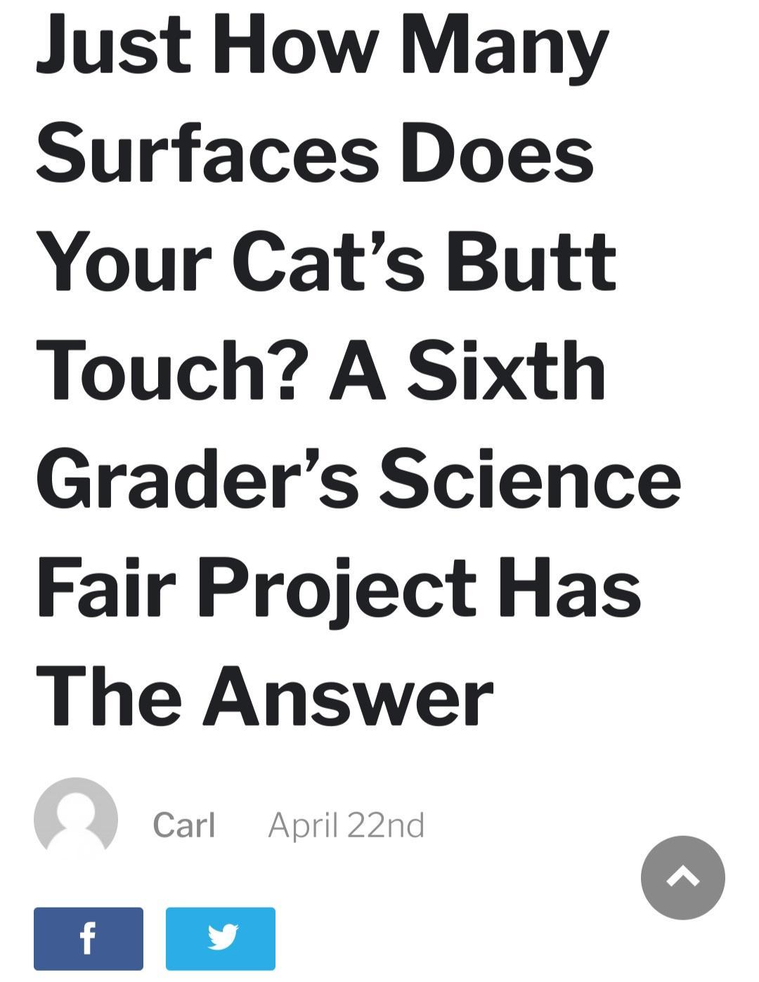 Just How Many Surfaces Does Your Cats Butt Touch A Sixth Graders Science Fair Project Has The Answer Carl April 22nd