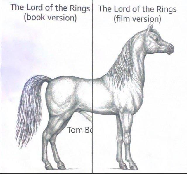 The Lord of the Rings The Lord of the Rings book version film version