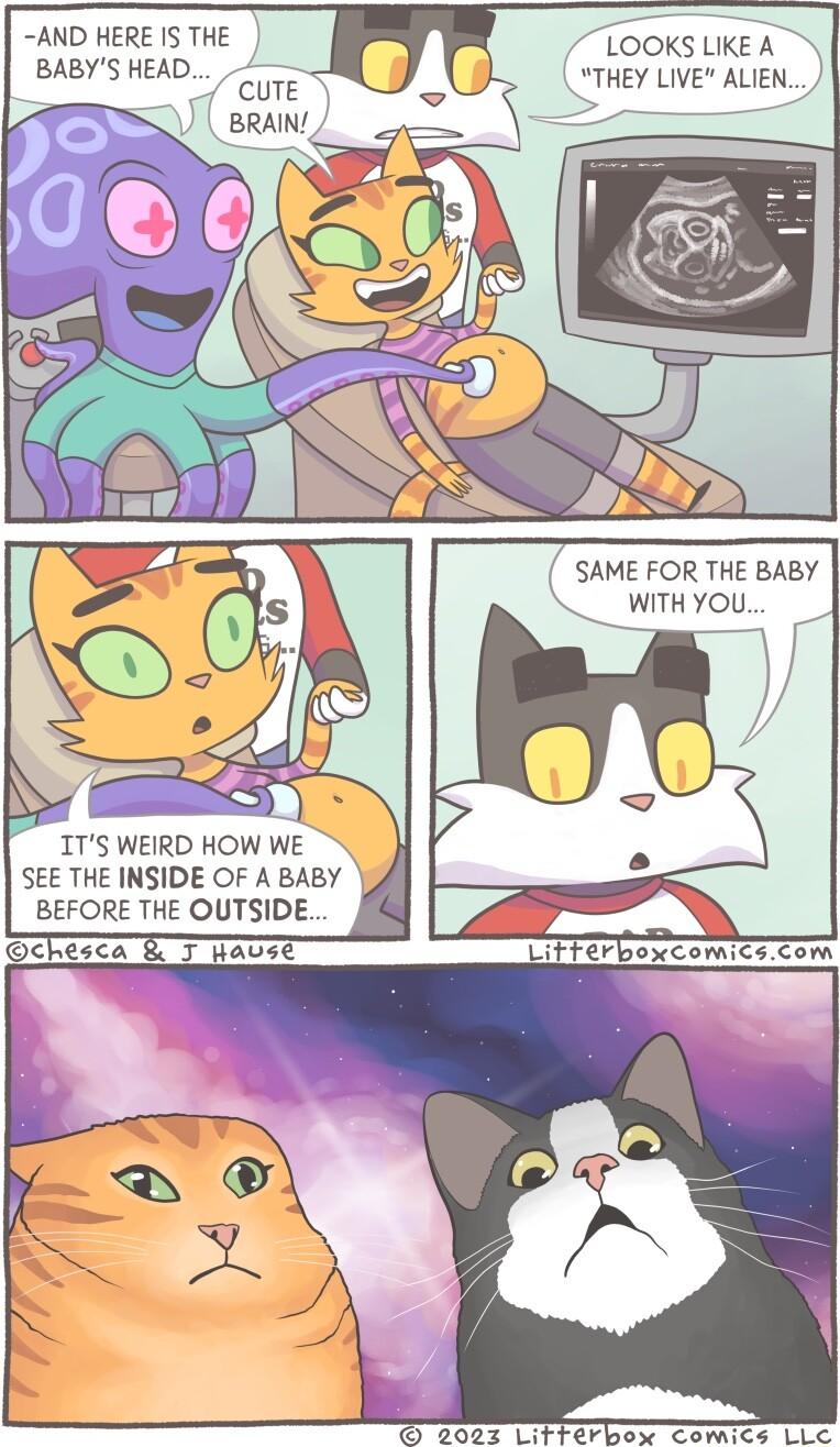 AND HERE IS THE BABYS HEAD ITS WEIRD HOW WE SEE THE INSIDE OF A BABY BEFORE THE OUTSIDE SAME FOR THE BABY WITH YOU chesca BT avse