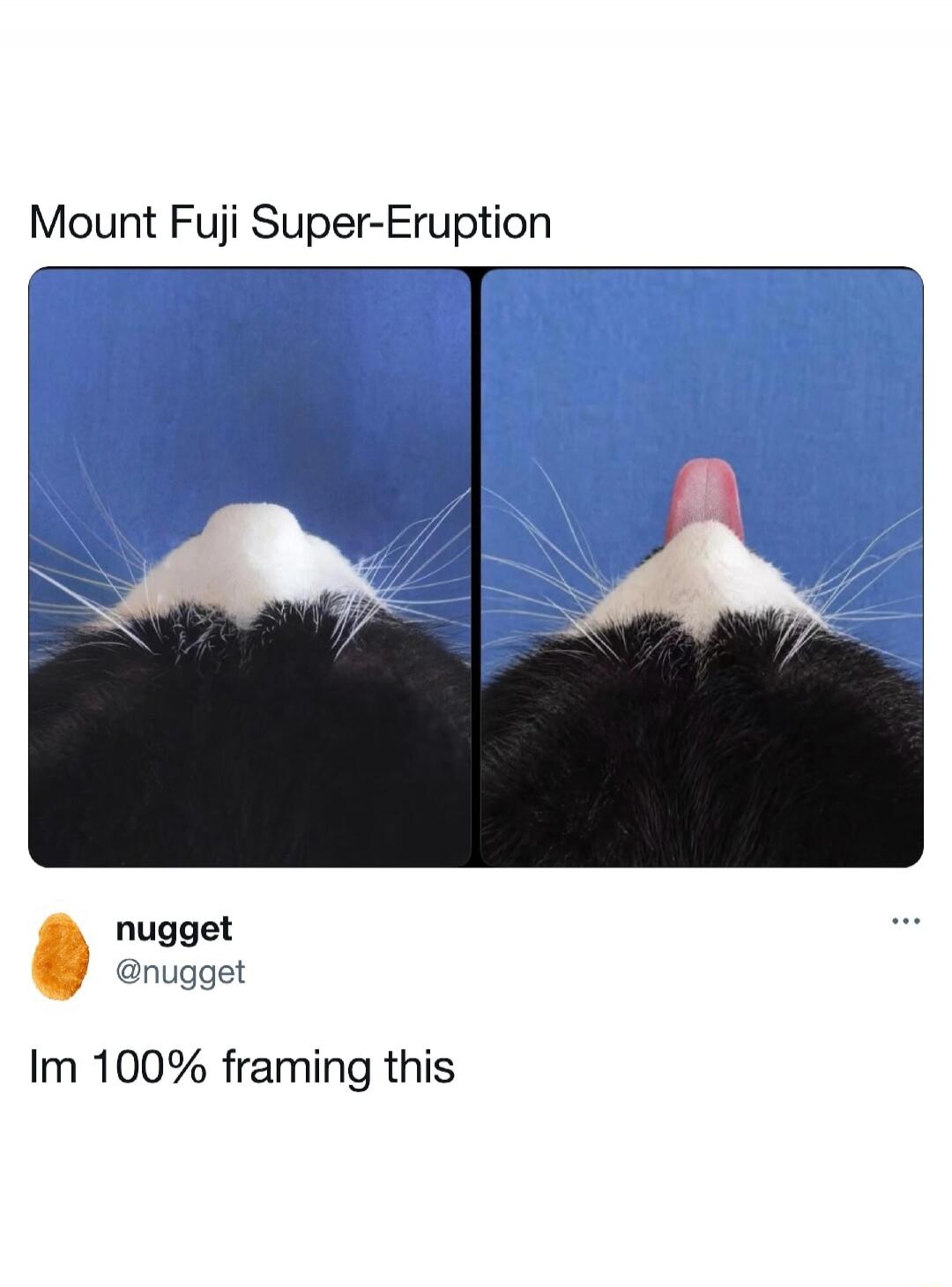 Mount Fuji Super-Eruption nugget @nugget Im 100% framing this