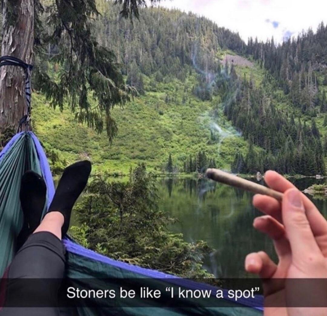 Stoners be like I know a spot I