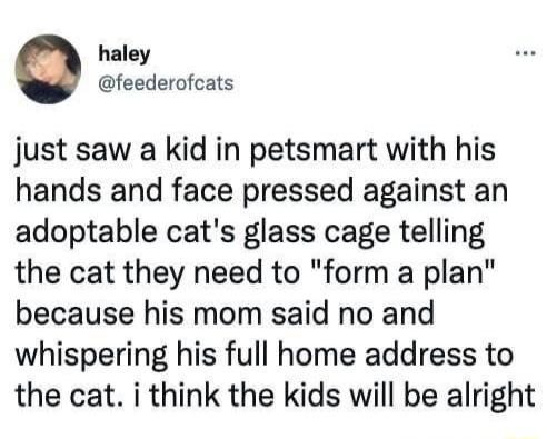 haley feederofcats just saw a kid in petsmart with his hands and face pressed against an adoptable cats glass cage telling the cat they need to form a plan because his mom said no and whispering his full home address to the cat i think the kids will be alright