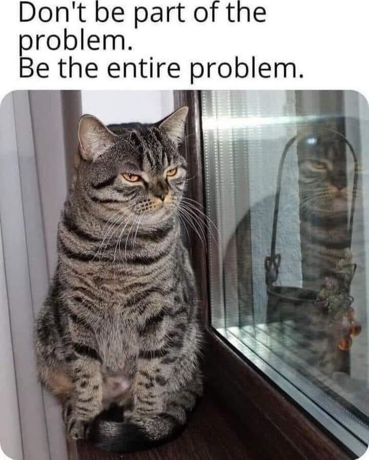 be part of the roblem e the entire problem