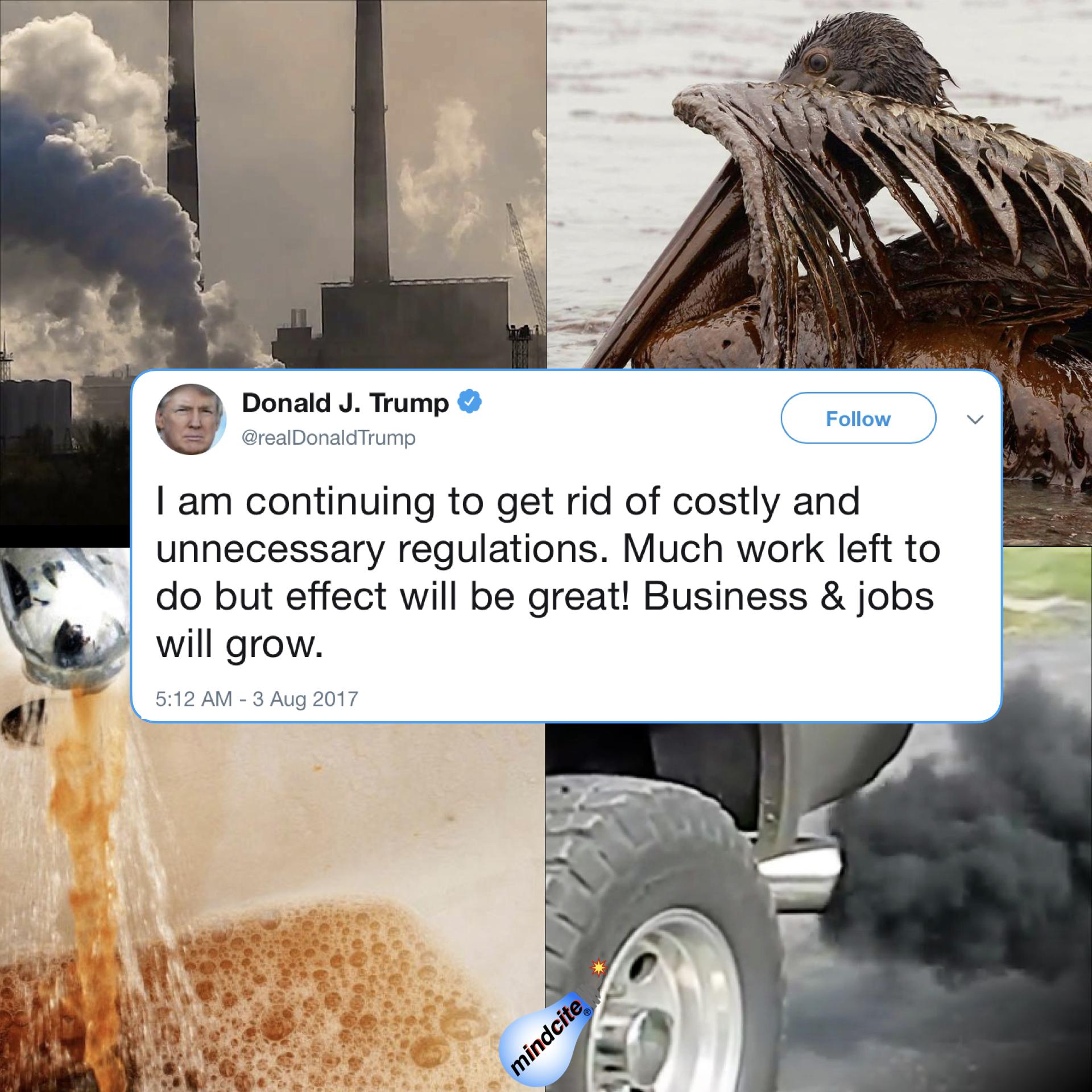 Donald J Trump Iam continuing to get rid of costly and unnecessary regulations Much work left to do but effect will be great Business jobs will grow