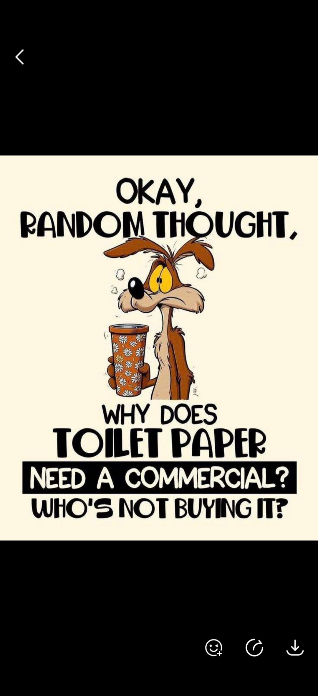 Okay, random thought, why does toilet paper need a commercial? Who's not buying it?
