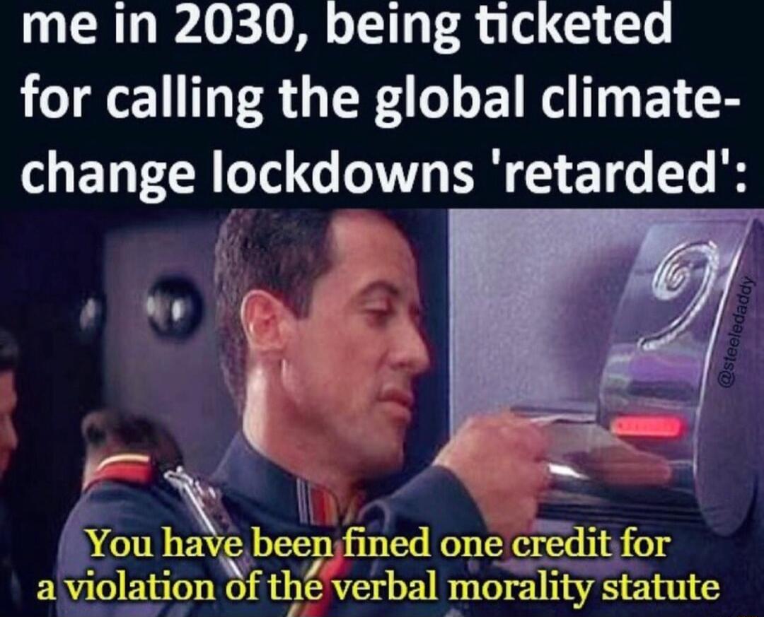 me in 2030 being ticketed for calling the global climate change lockdowns retarded You have been fined one creditfor aviolation Of tI verbal morality statute