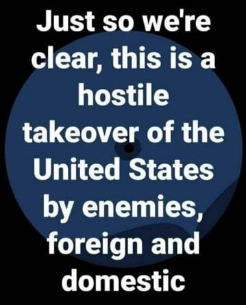 Just so were clear thisis a 1511 takeover of the United States by enemies foreign and domestic