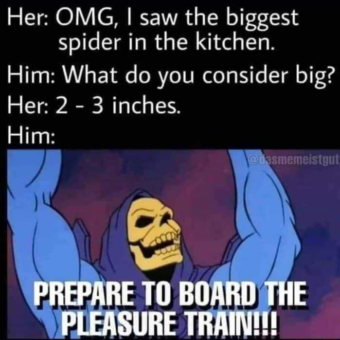 Her OMG saw the biggest spider in the kitchen Him What do you consider big Her 2 3 inches e PREPARE T0 BOARDHE PLEASURE TRAMNM
