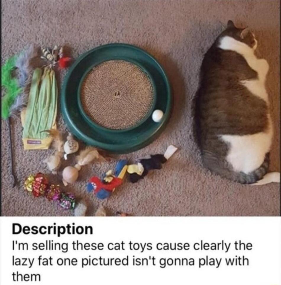 Description Im selling these cat toys cause clearly the lazy fat one pictured isnt gonna play with them