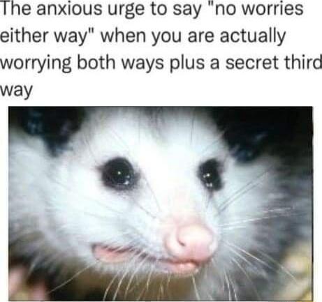 Ihe anxious urge to say no worries either way when you are actually worrying both ways plus a secret third way