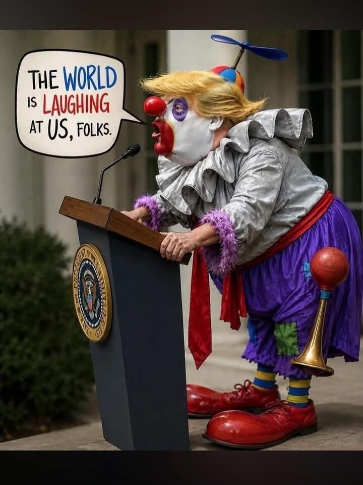 THE WORLD IS LAUGHING AT US, FOLKS.