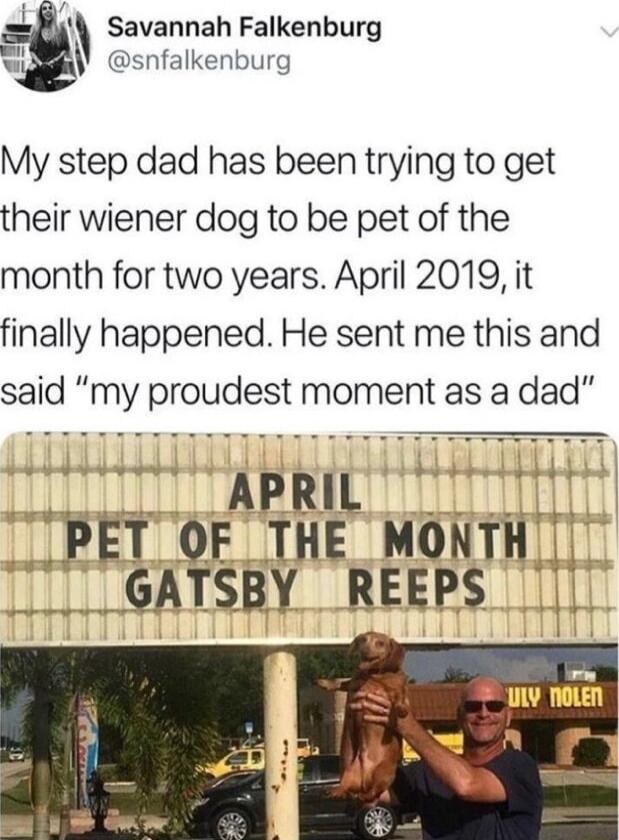 LB Savannah Falkenburg WAl snfalkenburg My step dad has been trying to get their wiener dog to be pet of the month for two years April 2019 it finally happened He sent me this and said my proudest moment as a dad ARRRRRRRRRRY V1 ARRRRARARY PET OF THE MONTH T _GATSBY REEPS