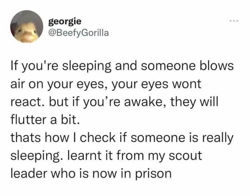 georgie BeefyGorilla If youre sleeping and someone blows air on your eyes your eyes wont react but if youre awake they will flutter a bit thats how check if someone is really sleeping learnt it from my scout leader who is now in prison