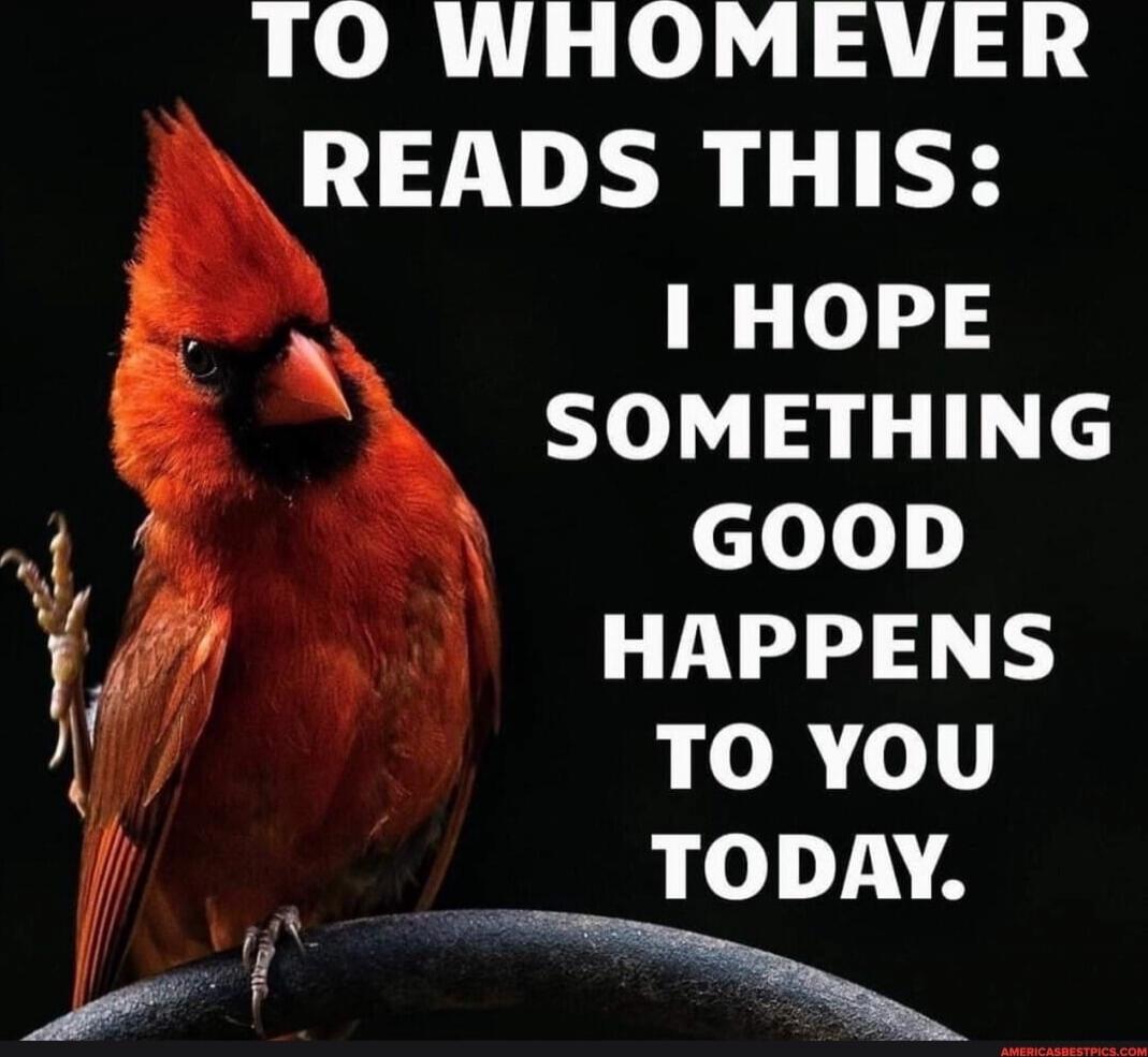 TO WHOMEVER READS THIS: I HOPE SOMETHING GOOD HAPPENS TO YOU TODAY.