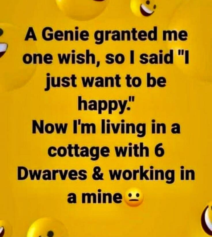A Genie granted me one wish, so I said 