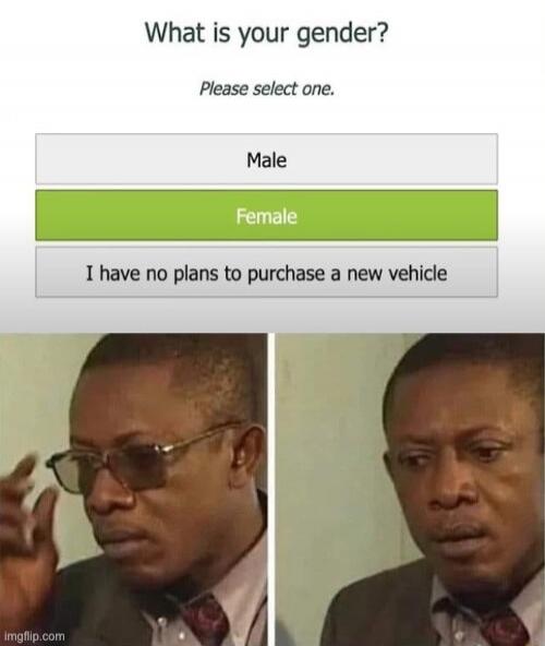 What is your gender? Please select one. Male. Female. I have no plans to purchase a new vehicle.
