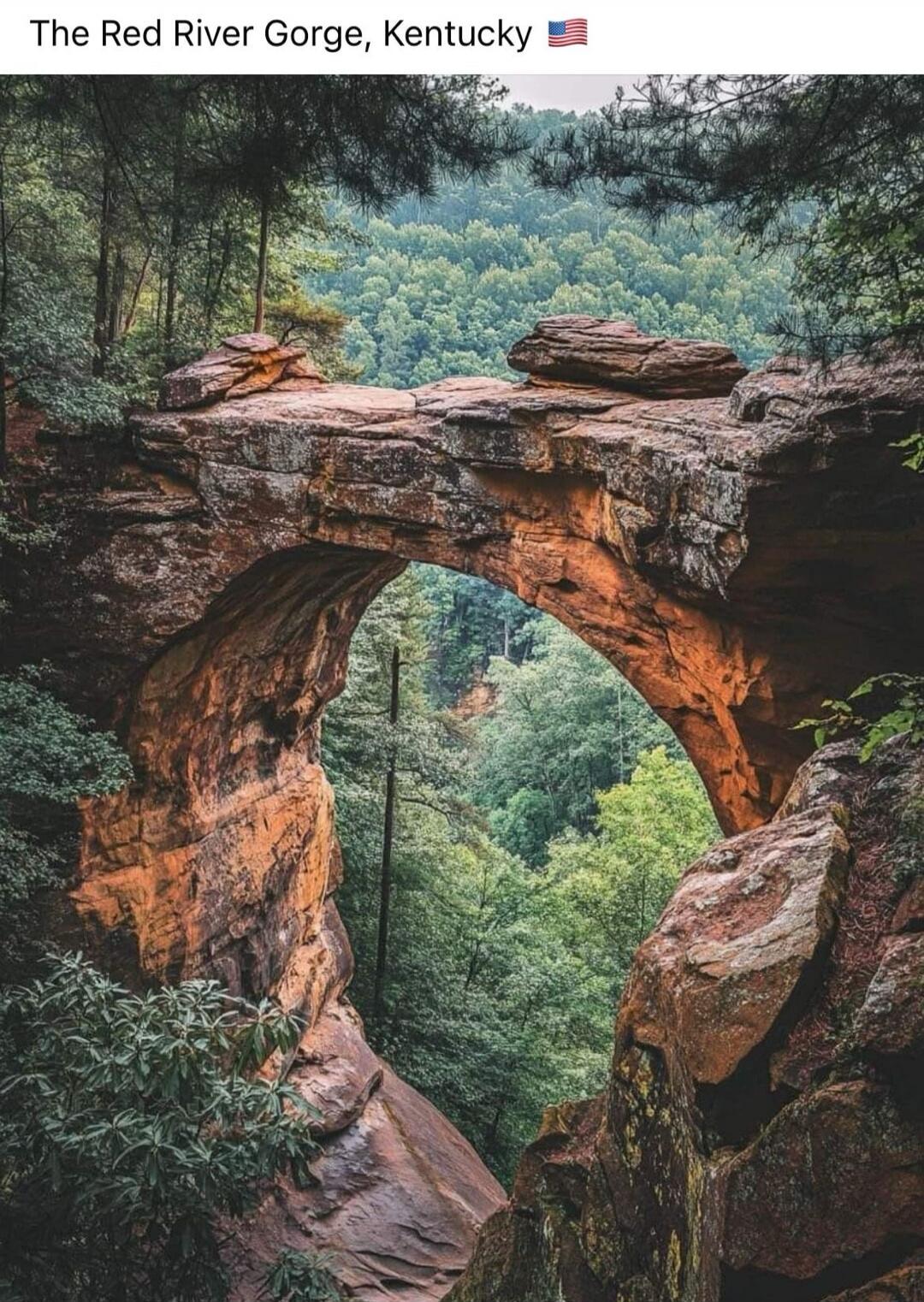 The Red River Gorge, Kentucky 🇺🇸