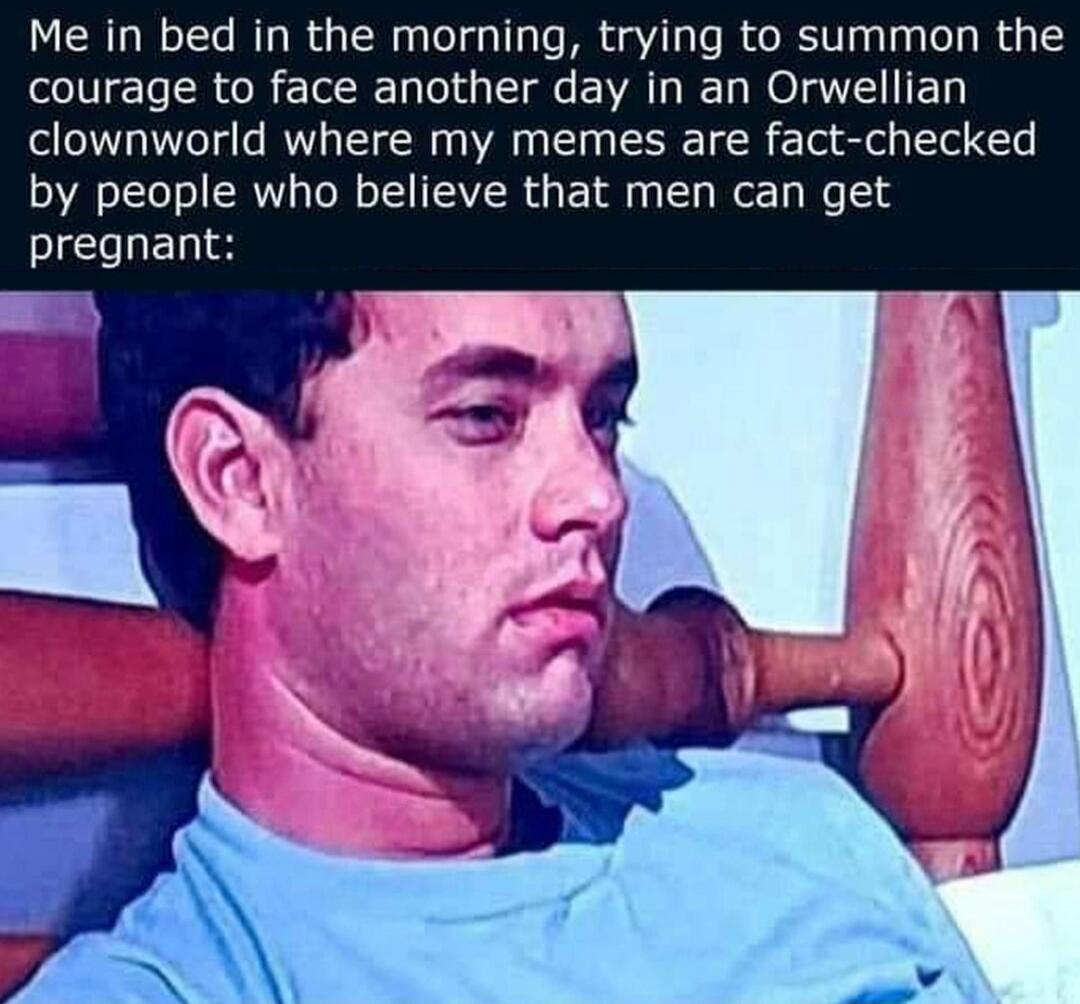 Me in bed in the morning, trying to summon the courage to face another day in an Orwellian clownworld where my memes are fact-checked by people who believe that men can get pregnant: