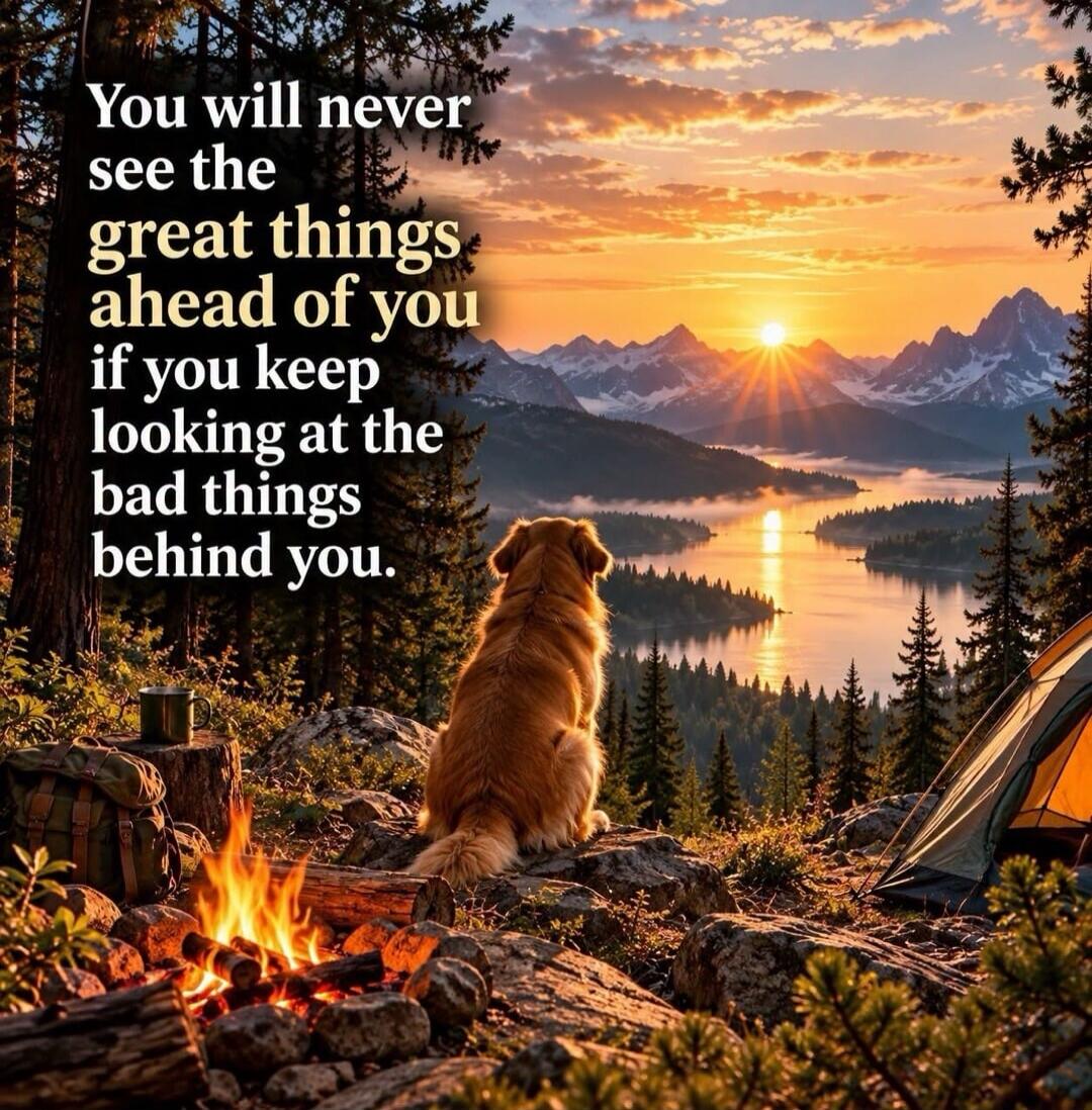 You will never see the great things ahead of you if you keep looking at the bad things behind you.