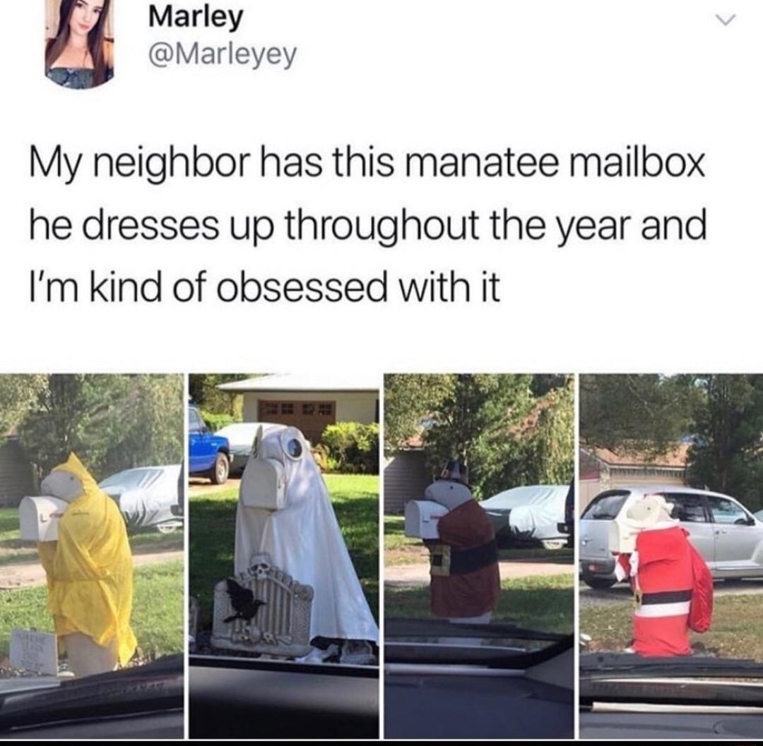 Marley Marleyey My neighbor has this manatee mailbox he dresses up throughout the year and Imkind of obsessed with it