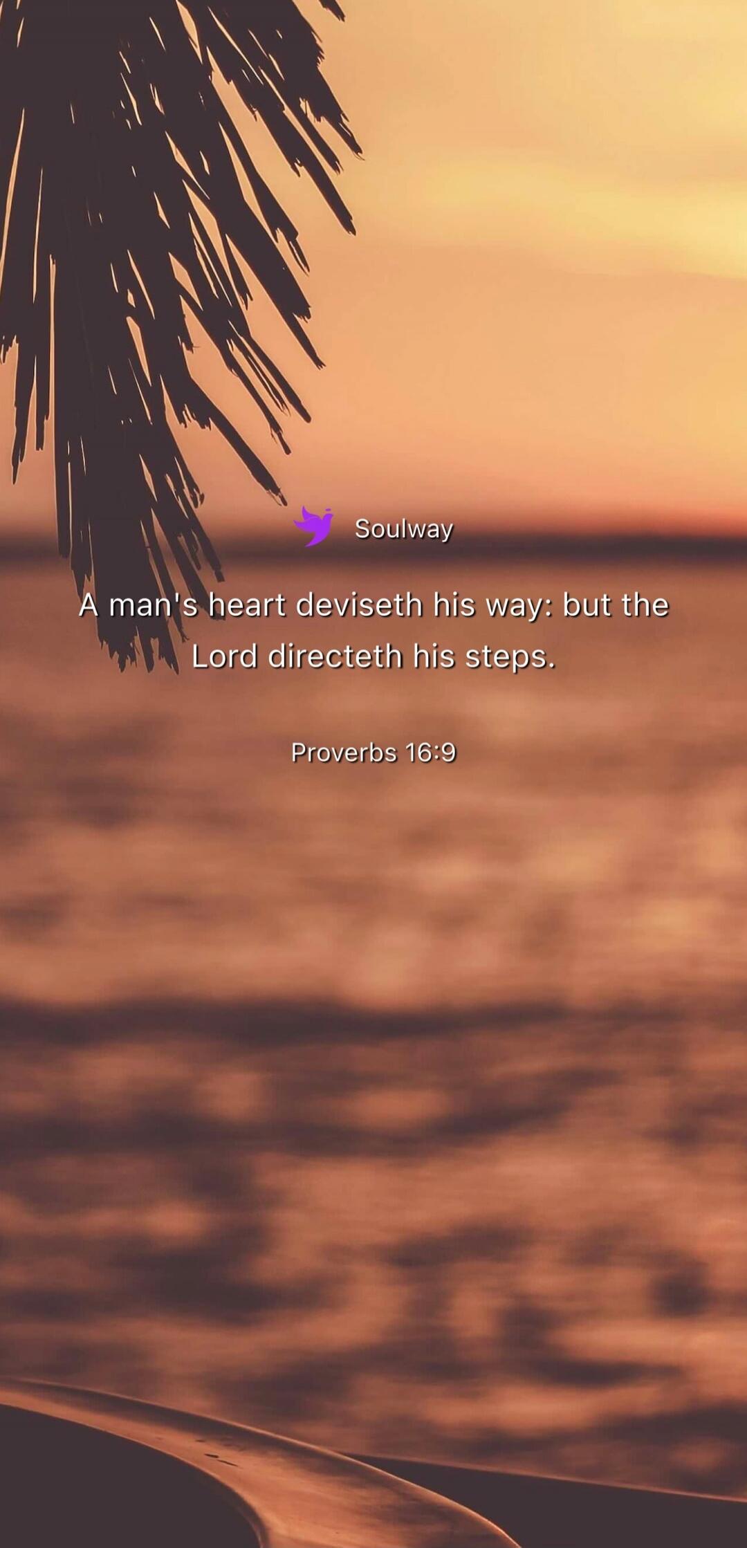 Soulway A man's heart deviseth his way: but the Lord directeth his steps. Proverbs 16:9