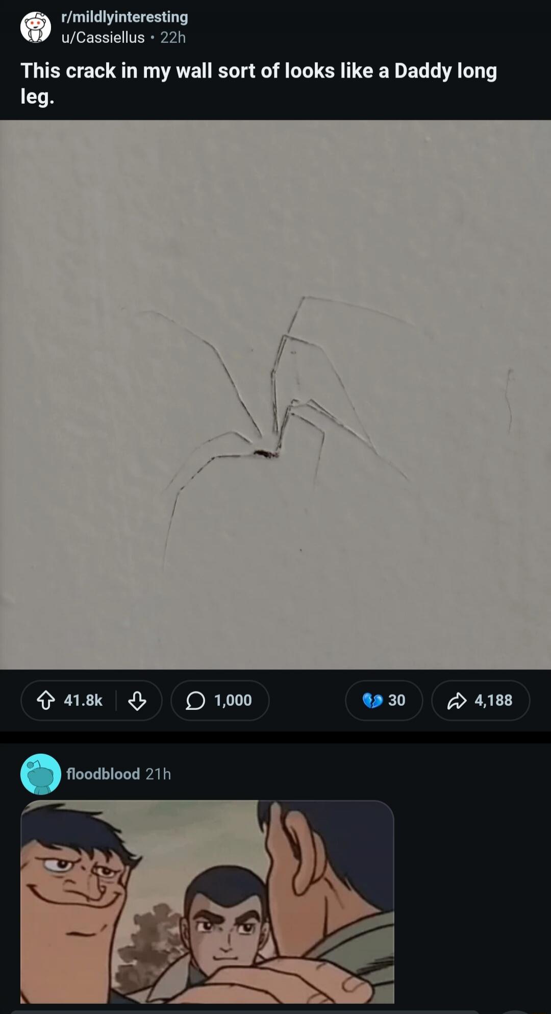 This crack in my wall sort of looks like a Daddy long leg.