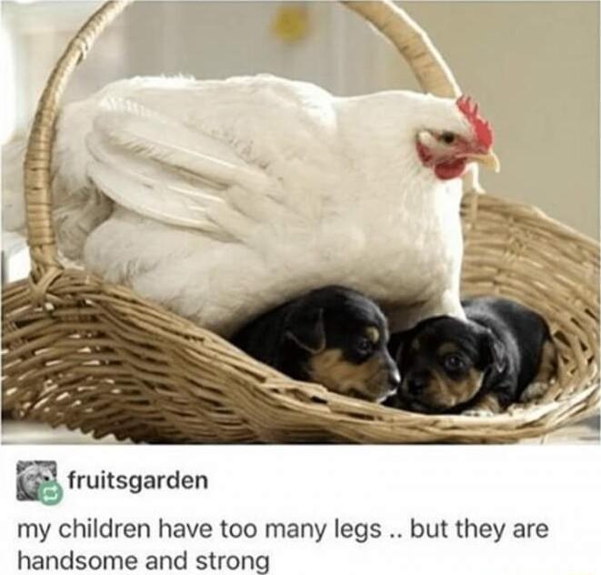 Iruitsgarden my children have too many legs but they are handsome and strong