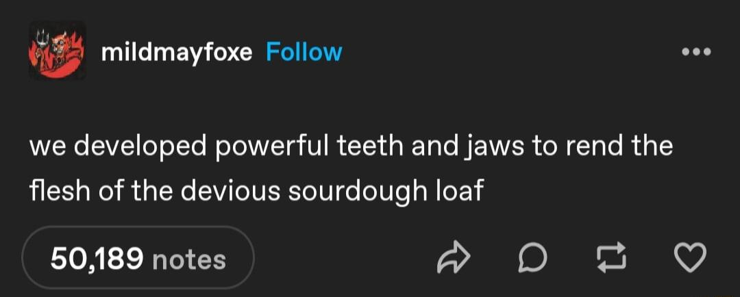 f mildmayfoxe Follow we developed powerful teeth and jaws to rend the flesh of the devious sourdough loaf 50189 notes p D 2 Q