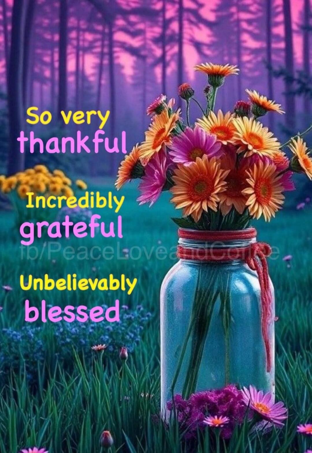 So very thankful
Incredibly grateful
Unbelievably blessed