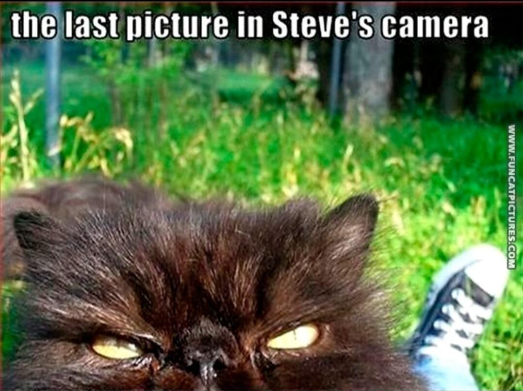 the last picture in Steve's camera