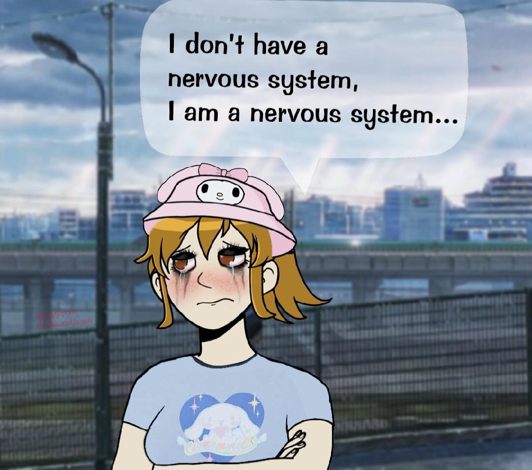 I dont have a nervous system am a nervous system