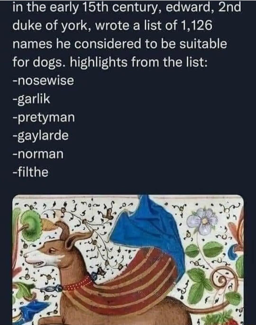 R GEICET YA G NTT VAY VT RIS duke of york wrote a list of 1126 QEWESG R ST I RGR R e 5 for dogs highlights from the list nosewise garlik pretyman gaylarde norman filthe