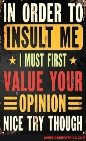 IN ORDER TO INSULT ME I MUST FIRST VALUE YOUR OPINION NICE TRY THOUGH