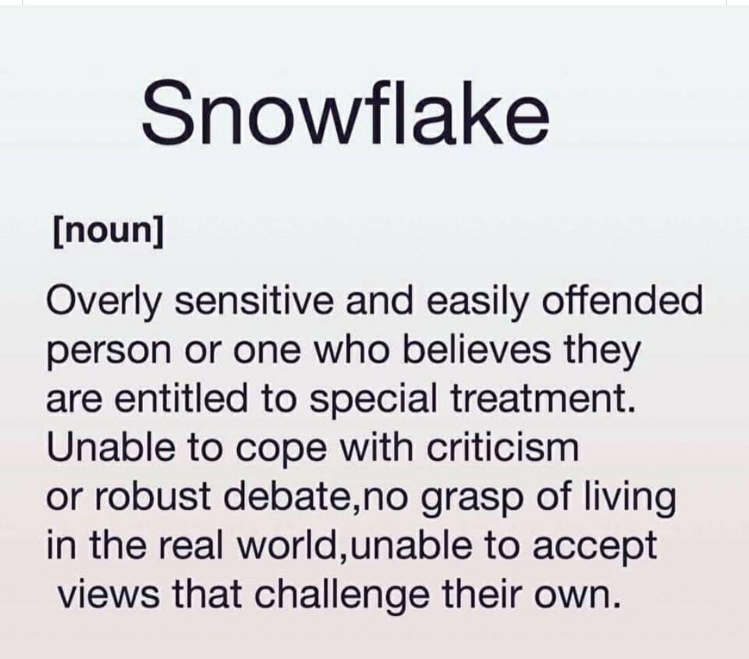 Snowflake noun Overly sensitive and easily offended person or one who believes they are entitled to special treatment Unable to cope with criticism or robust debateno grasp of living in the real worldunable to accept views that challenge their own