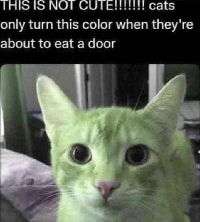only turn this color when theyre about to eat a door