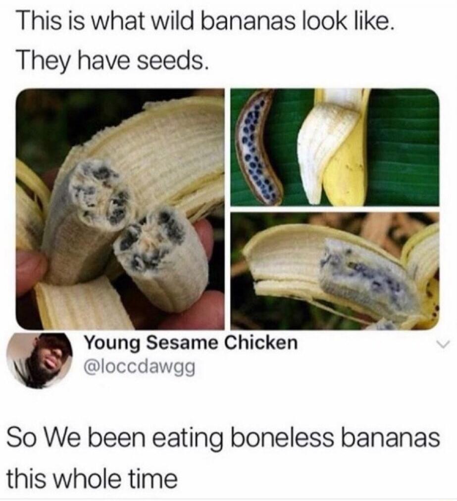 This is what wild bananas look like. They have seeds. Young Sesame Chicken @loccdawgg So We been eating boneless bananas this whole time