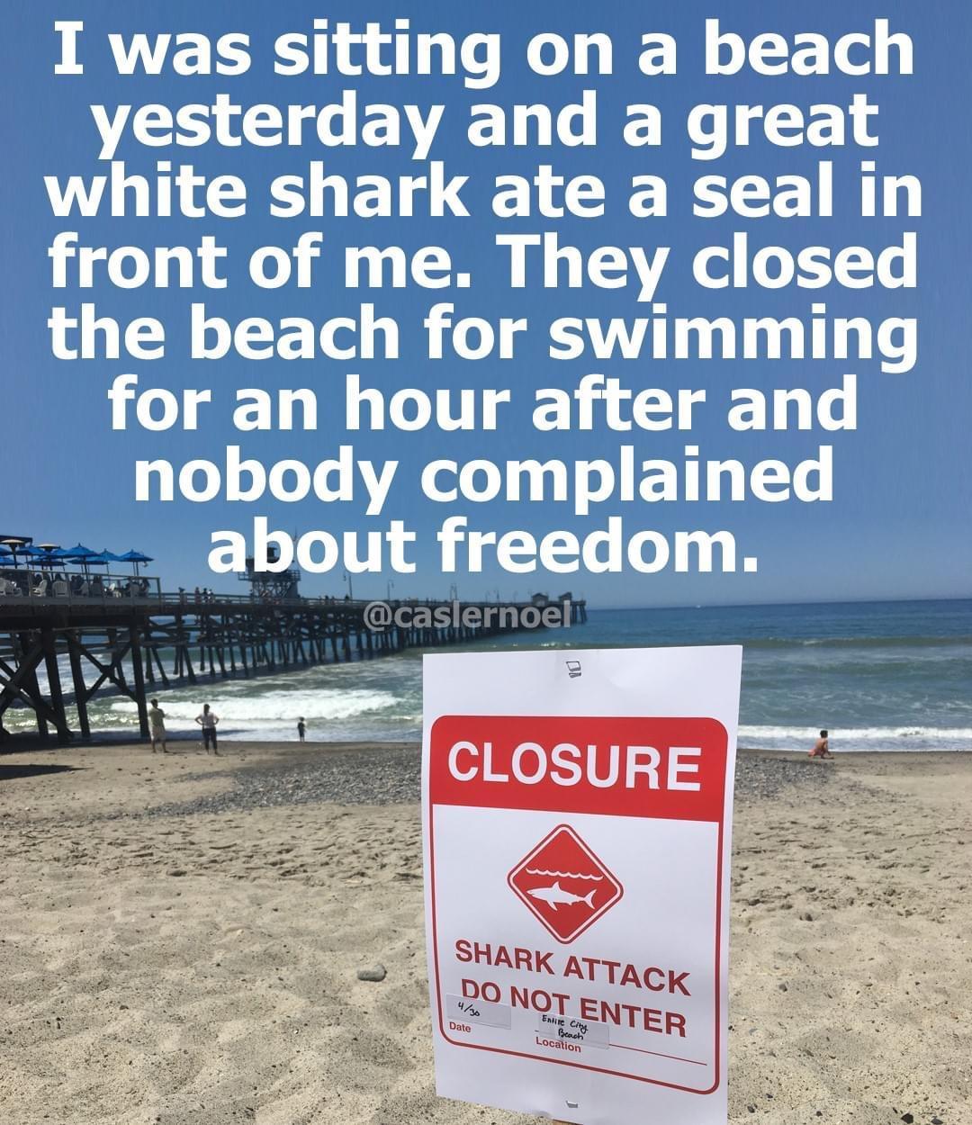 I was sitting on a beach VS EV AL R WHNCEOGE LR ECLEE LR front of me They closed the beach for swimming for an hour after and nobody complained SR 12 o 11T o TVe o110